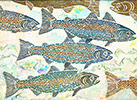 Salmon Migration by Wayland House